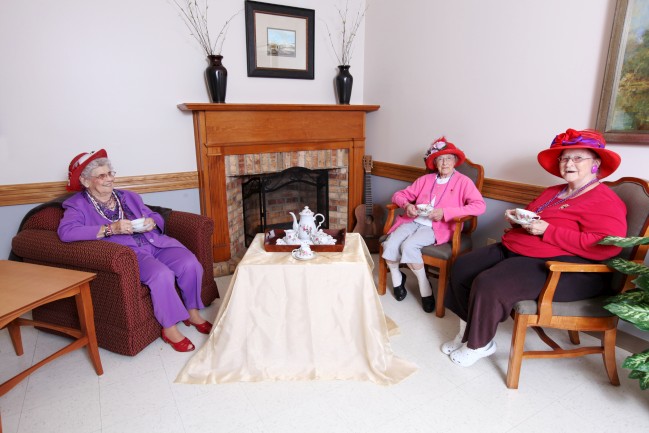The Laurels of DeKalb: Living Area